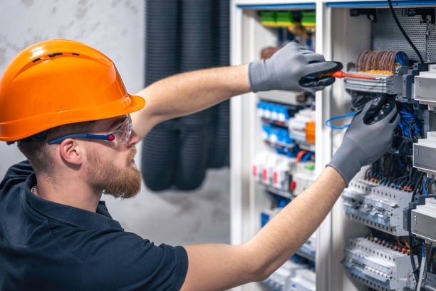 Best Electric Panel Repair  in Osawatomie, KS